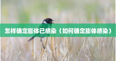 怎样确定膨体已感染（如何确定膨体感染）