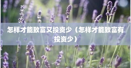 怎样才能致富又投资少（怎样才能致富有投资少）