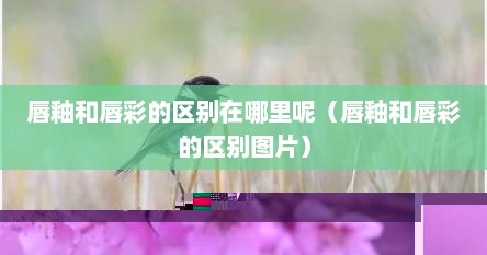唇釉和唇彩的区别在哪里呢（唇釉和唇彩的区别图片）