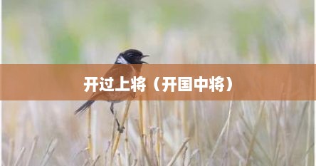 开过上将（开国中将）