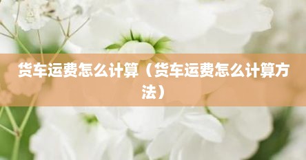 货车运费怎么计算（货车运费怎么计算方法）