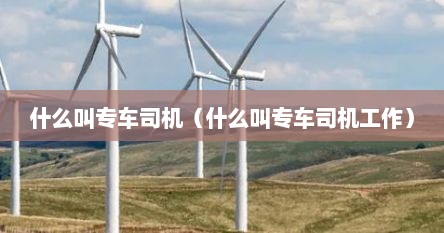 什么叫专车司机（什么叫专车司机工作）