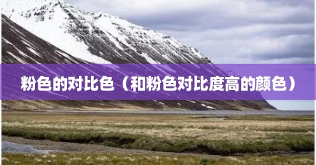 粉色的对比色（和粉色对比度高的颜色）