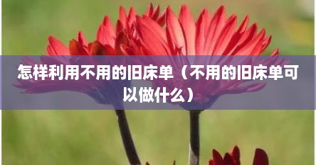 怎样利用不用的旧床单（不用的旧床单可以做什么）