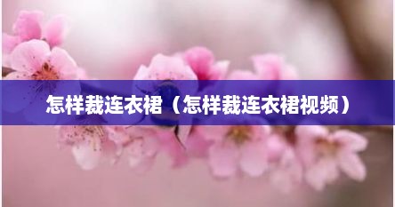怎样裁连衣裙（怎样裁连衣裙视频）