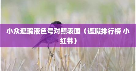 小众遮瑕液色号对照表图（遮瑕排行榜 小红书）
