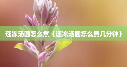 速冻汤圆怎么煮（速冻汤圆怎么煮几分钟）