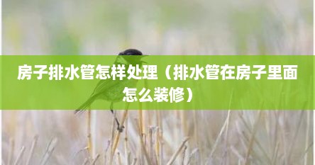 房子排水管怎样处理（排水管在房子里面怎么装修）