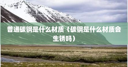 普通碳钢是什么材质（碳钢是什么材质会生锈吗）