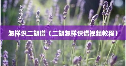 怎样识二胡谱（二胡怎样识谱视频教程）