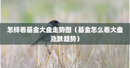 怎样看基金大盘走势图（基金怎么看大盘涨跌趋势）