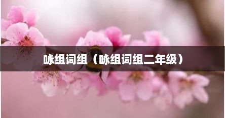 咏组词组（咏组词组二年级）