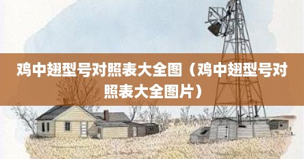 鸡中翅型号对照表大全图（鸡中翅型号对照表大全图片）