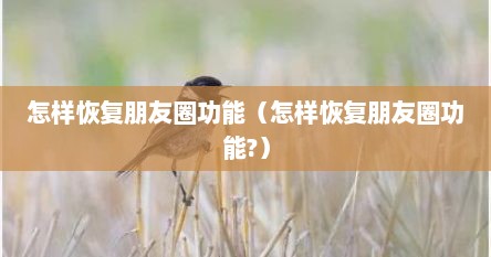 怎样恢复朋友圈功能（怎样恢复朋友圈功能?）