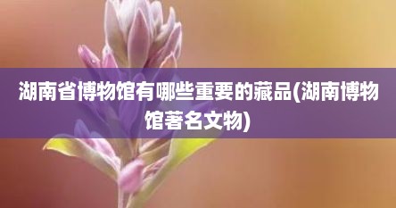 湖南省博物馆有哪些重要的藏品(湖南博物馆著名文物)