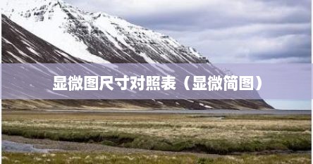 显微图尺寸对照表（显微简图）