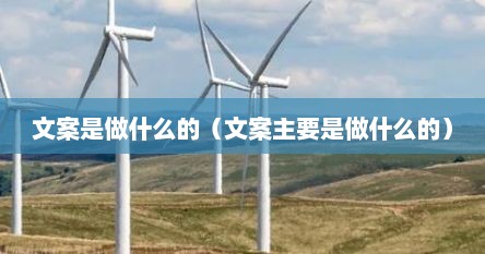文案是做什么的（文案主要是做什么的）