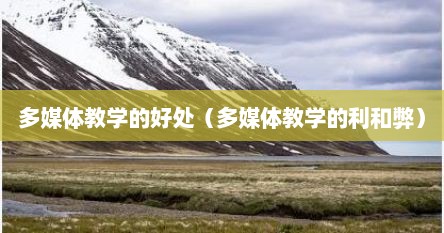 多媒体教学的好处（多媒体教学的利和弊）