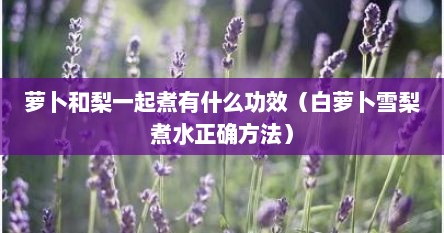萝卜和梨一起煮有什么功效（白萝卜雪梨煮水正确方法）