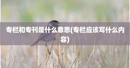 专栏和专刊是什么意思(专栏应该写什么内容)