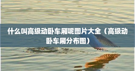 什么叫高级动卧车厢呢图片大全（高级动卧车厢分布图）