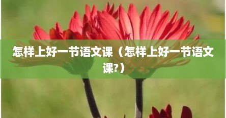 怎样上好一节语文课（怎样上好一节语文课?）