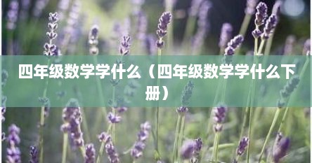 四年级数学学什么（四年级数学学什么下册）