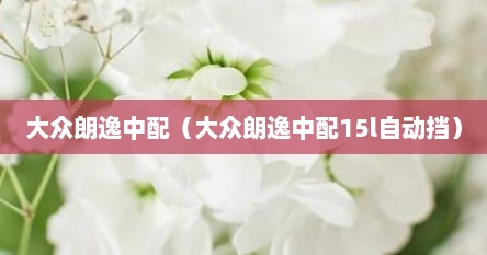 大众朗逸中配（大众朗逸中配15l自动挡）