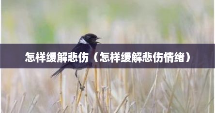 怎样缓解悲伤（怎样缓解悲伤情绪）
