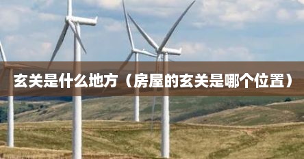 玄关是什么地方（房屋的玄关是哪个位置）