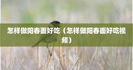 怎样做阳春面好吃（怎样做阳春面好吃视频）