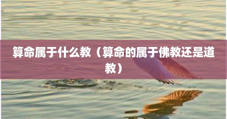 算命属于什么教（算命的属于佛教还是道教）