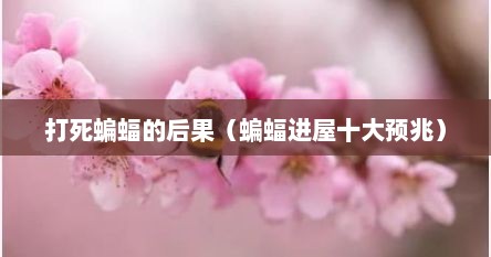 打死蝙蝠的后果（蝙蝠进屋十大预兆）