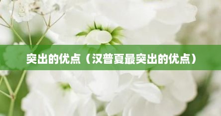 突出的优点（汉普夏最突出的优点）