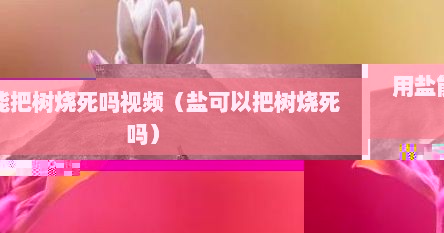 用盐能把树烧死吗视频（盐可以把树烧死吗）