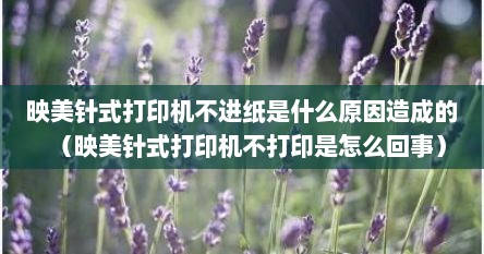 映美针式打印机不进纸是什么原因造成的（映美针式打印机不打印是怎么回事）