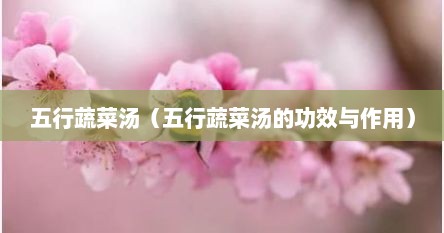五行蔬菜汤（五行蔬菜汤的功效与作用）