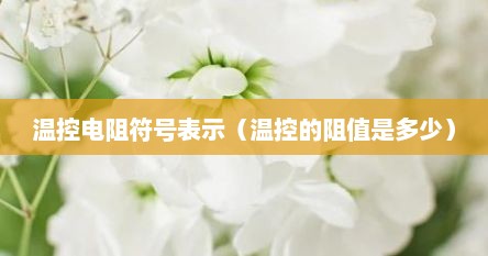 温控电阻符号表示（温控的阻值是多少）