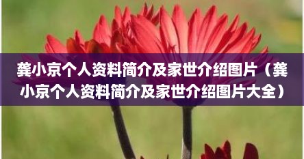 龚小京个人资料简介及家世介绍图片（龚小京个人资料简介及家世介绍图片大全）