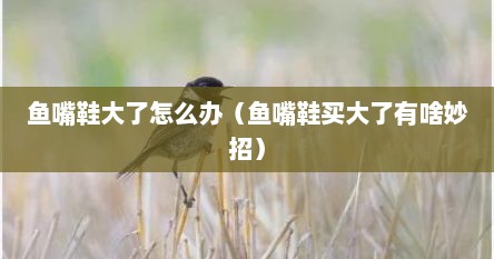 鱼嘴鞋大了怎么办（鱼嘴鞋买大了有啥妙招）