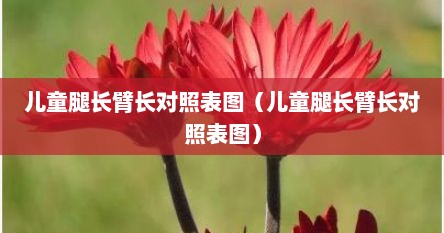 儿童腿长臂长对照表图（儿童腿长臂长对照表图）