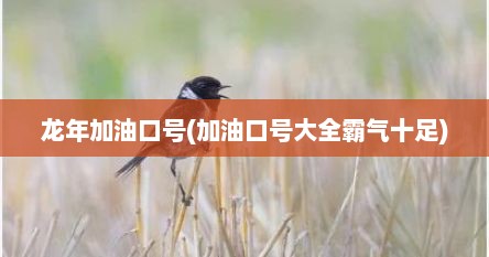 龙年加油口号(加油口号大全霸气十足)