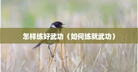 怎样练好武功（如何练就武功）
