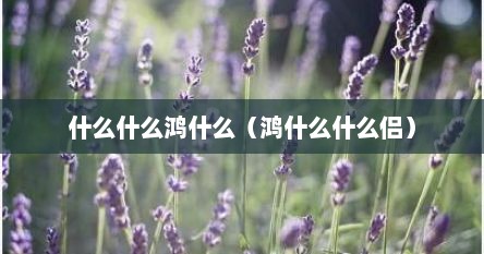 什么什么鸿什么（鸿什么什么侣）