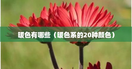 暖色有哪些（暖色系的20种颜色）