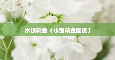 水银精金（水银精金图纸）