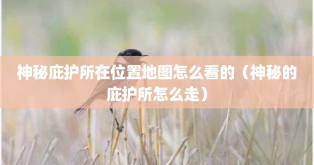 神秘庇护所在位置地图怎么看的(神秘的庇护所怎么走)