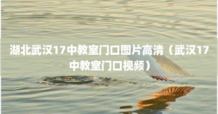 湖北武汉17中教室门口图片高清（武汉17中教室门口视频）