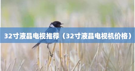 32寸液晶电视推荐（32寸液晶电视机价格）
