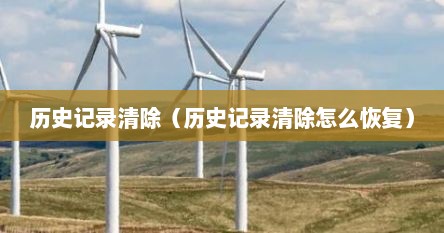 历史记录清除（历史记录清除怎么恢复）